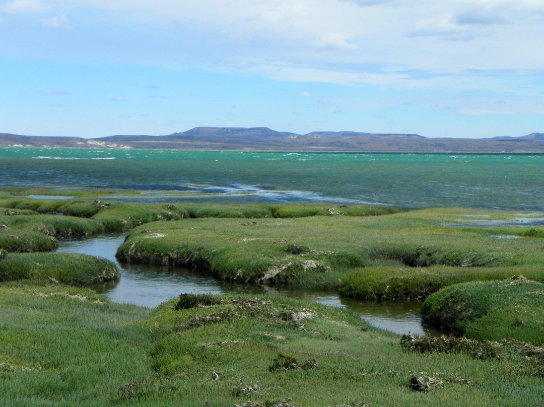 Reserva Provincial Peninsula Puerto San Julian景点图片