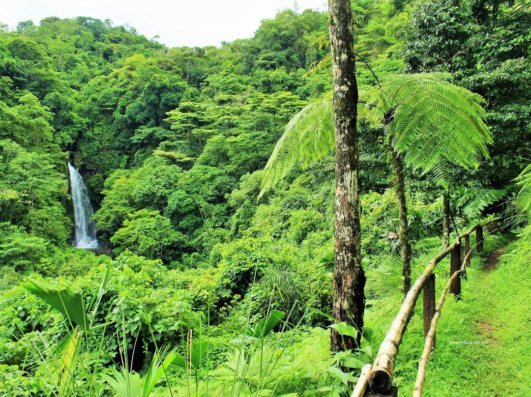 El Cope旅游攻略图片