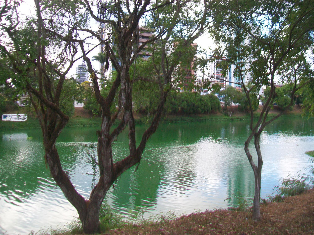 Cachoeira River-Itabuna必去景点