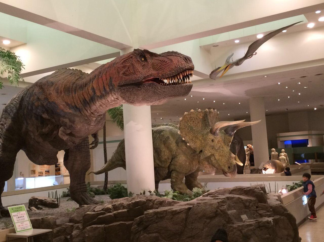 Ehime General Science Museum-新居滨市必去景点