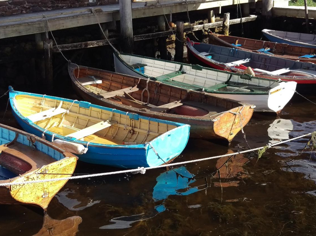 River to Rainforest-霍巴特必去景点