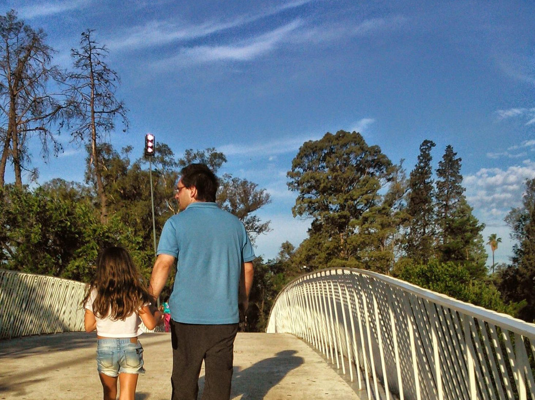 Parque de las Tejas景点图片