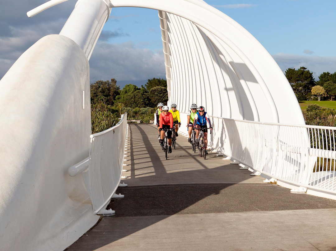 Cycle Inn-新普利默斯必去景点