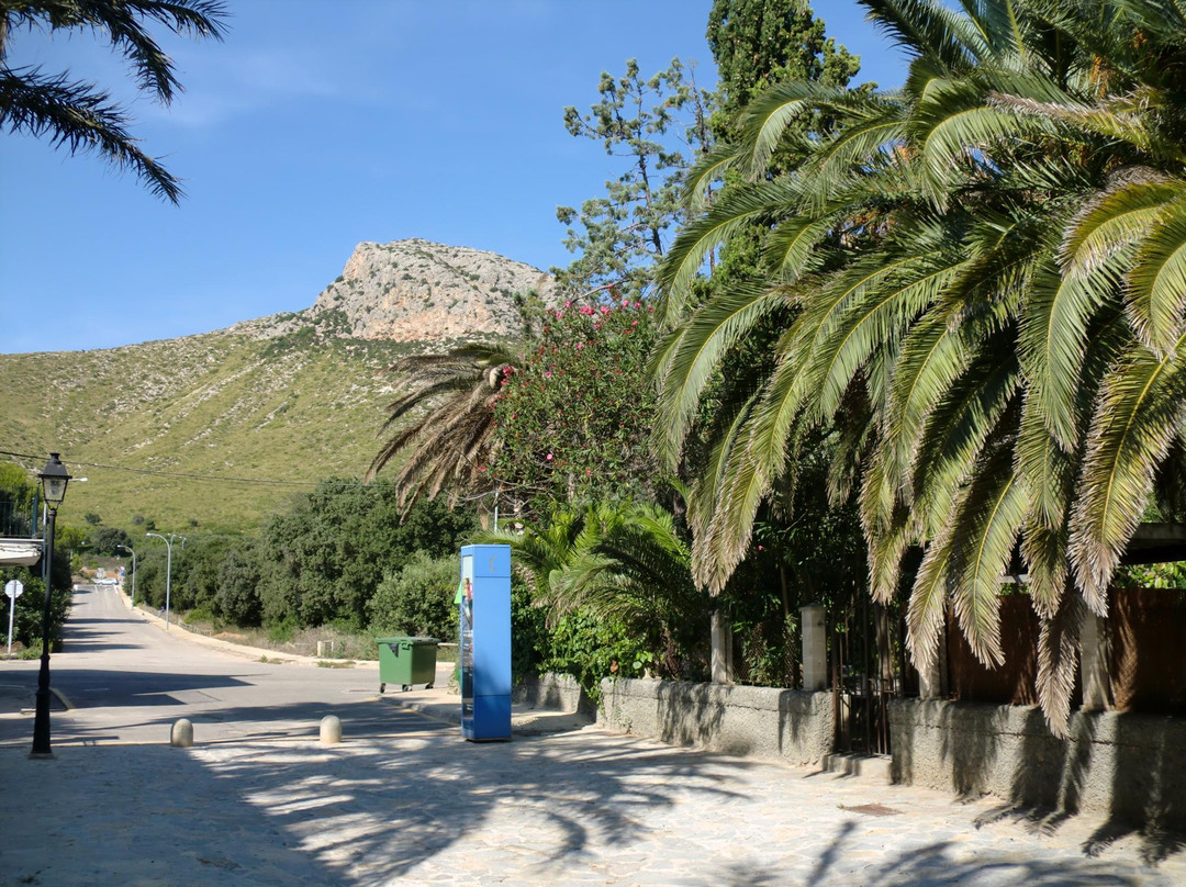 Paseo del Port de Pollenca-Pollenca必去景点