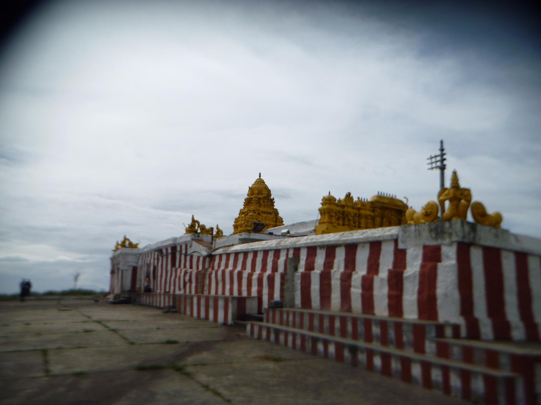 Himada Gopalswamy Temple景点图片