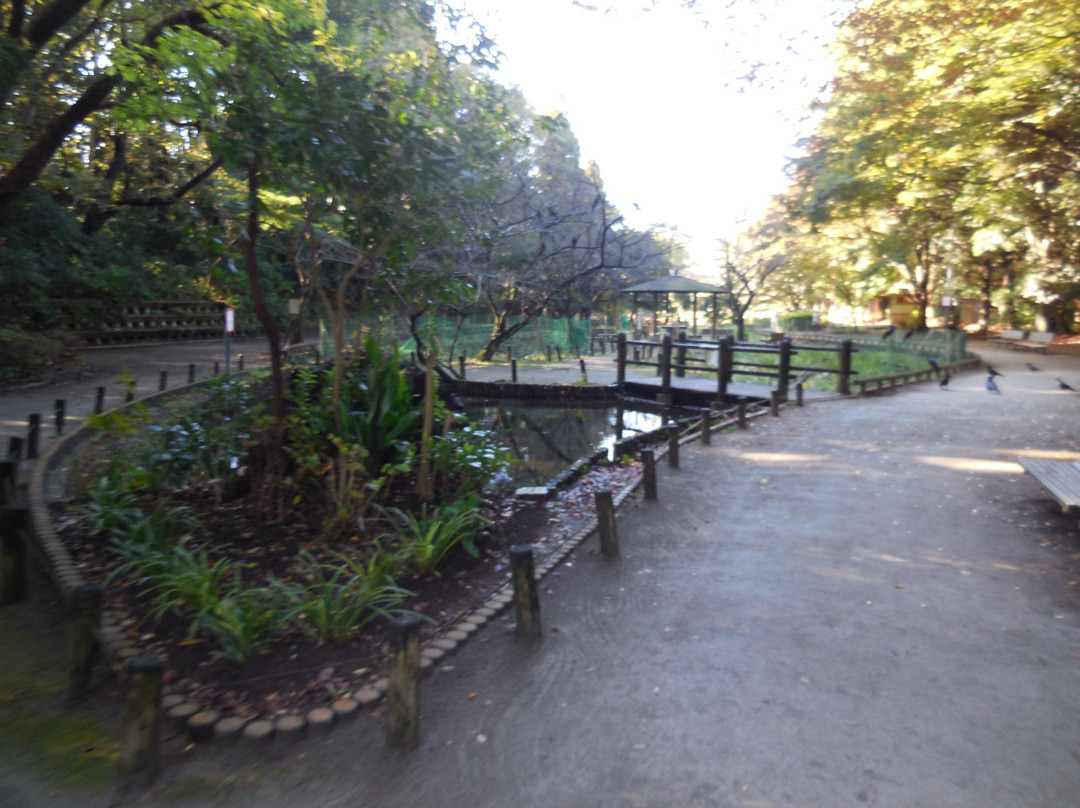 Fujisaki Shinrin Park-习志野市必去景点