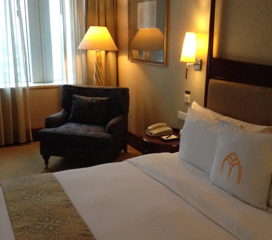 歌德大酒店主图