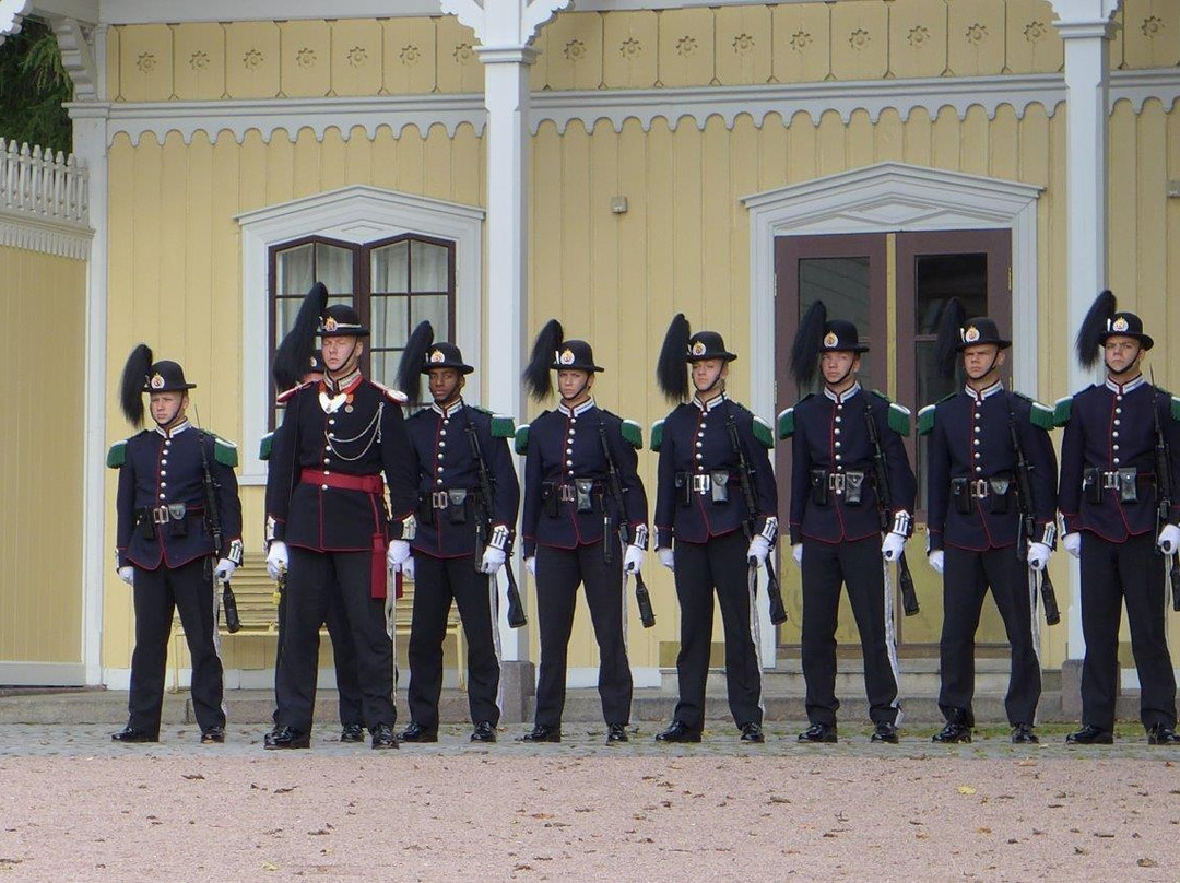 Changing of the Guard at the Royal Palace景点图片