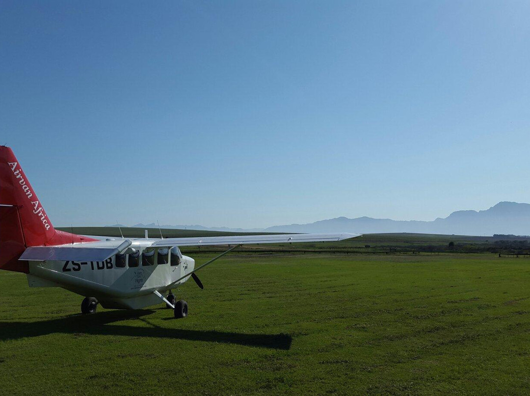 Cape Scenic Flights-开普敦必去景点