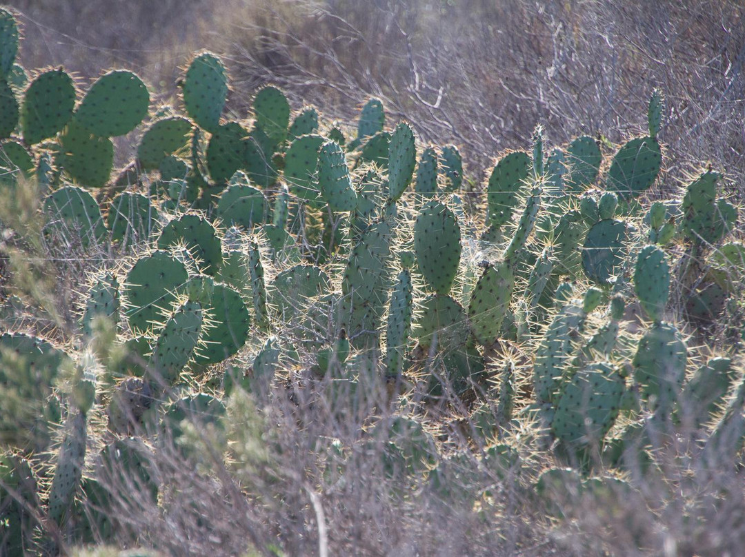 Gunpowder Point-丘拉维斯塔必去景点