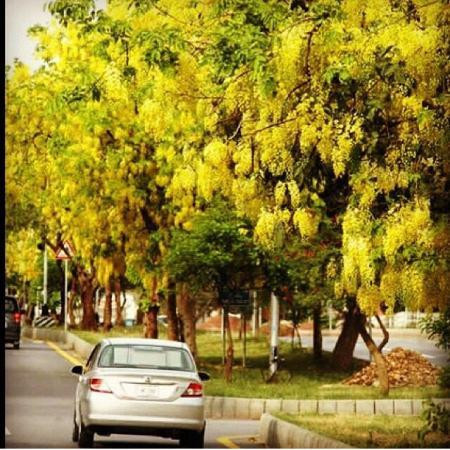 Panjab University-昌迪加必去景点