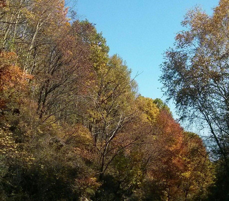 喇叭沟门国家森林公园-北京市必去景点