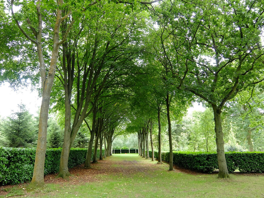 Whipsnade Tree Cathedral景点图片