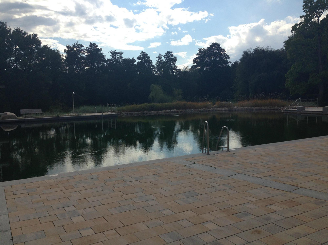Naturbad Schwalbach景点图片