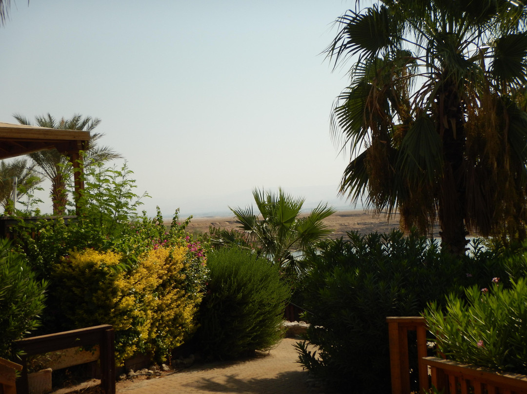 Kalia Beach-Kalia必去景点