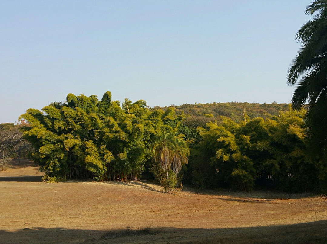 Ewanrigg Botanical Gardens景点图片