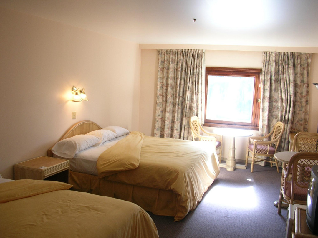 Hotel de La Tour主图