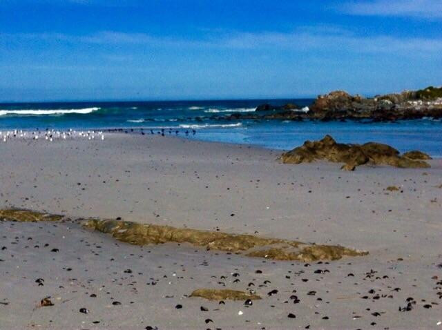 West Coast National Park-West Coast National Park必去景点