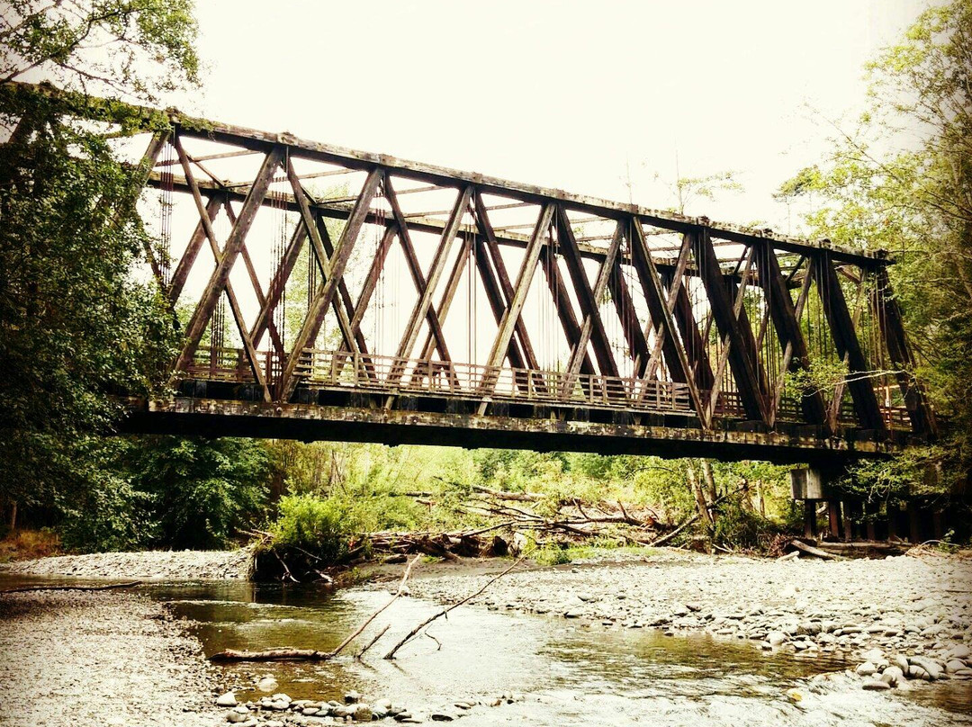 Dungeness River Nature Center景点图片