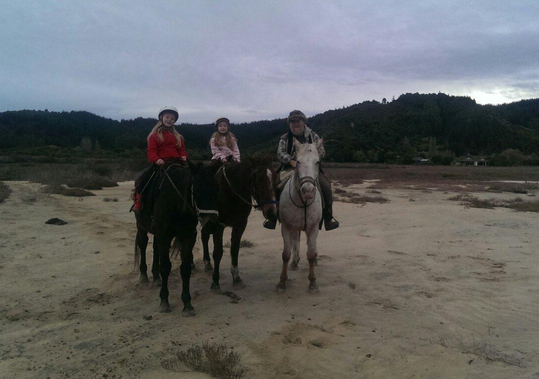 Pegasus Park Equestrian Adventure Tours-莫图伊卡必去景点