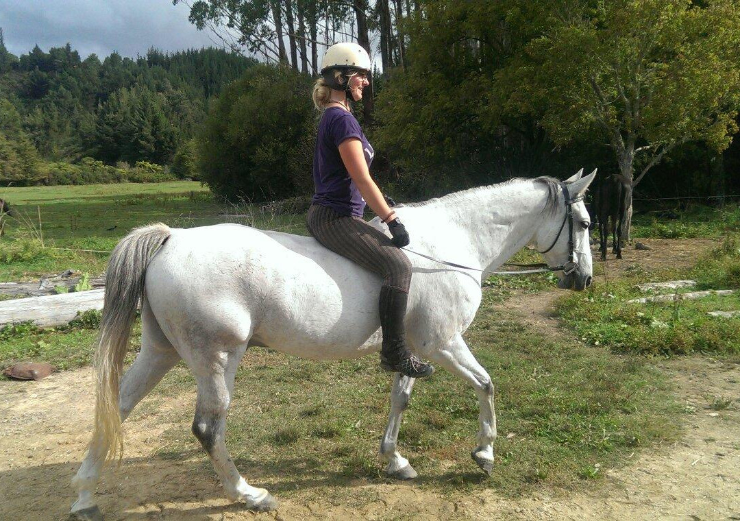 Pegasus Park Equestrian Adventure Tours-莫图伊卡必去景点