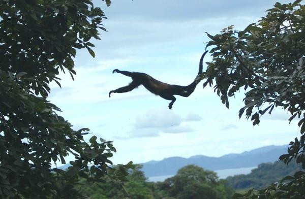 Guanacaste Tours and Transfers景点图片