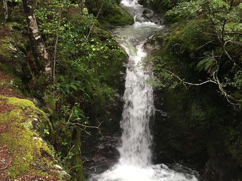 Mt Crichton Loop Track-皇后镇必去景点