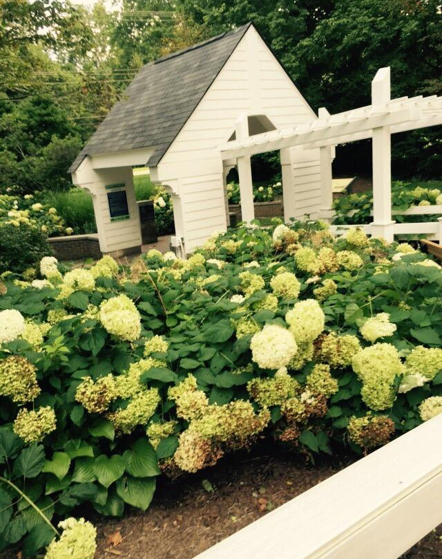 Flowing Well Park-卡梅尔必去景点