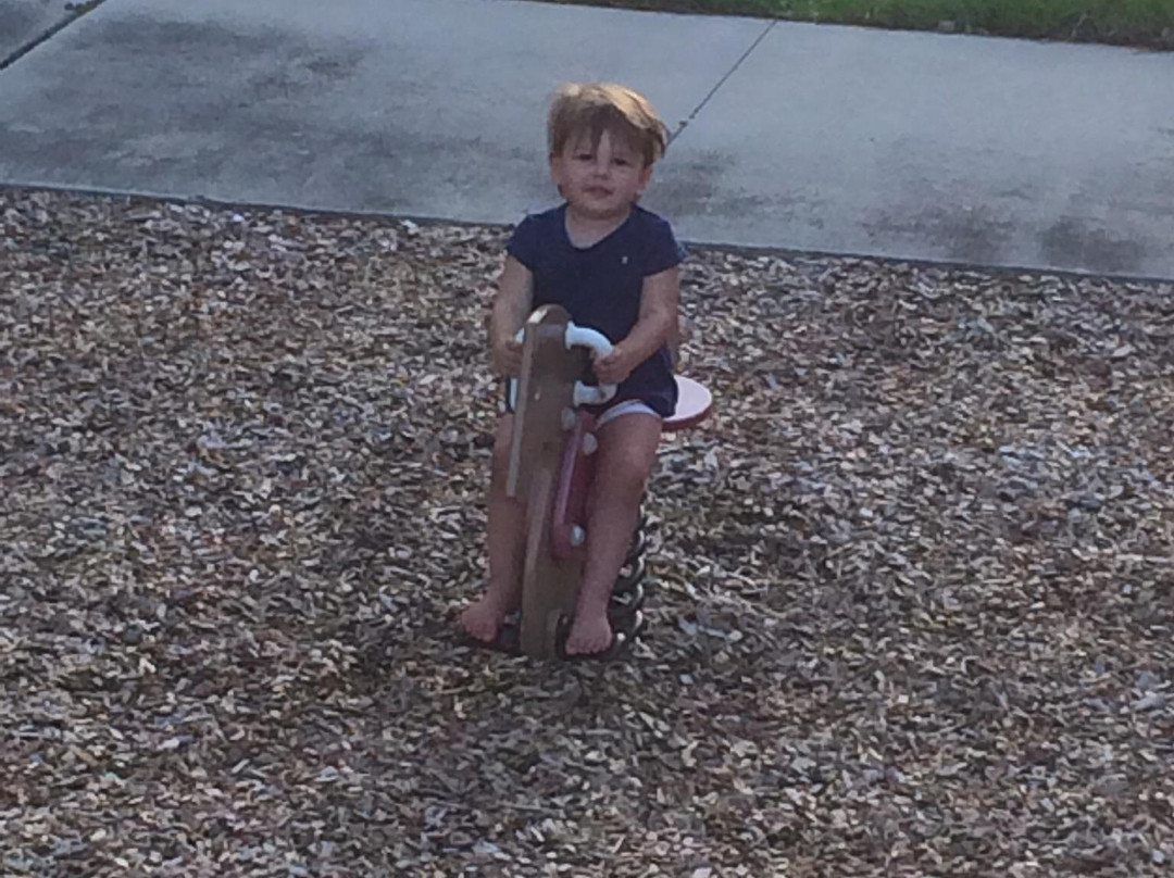 Sugar Sand Park-博卡拉顿必去景点