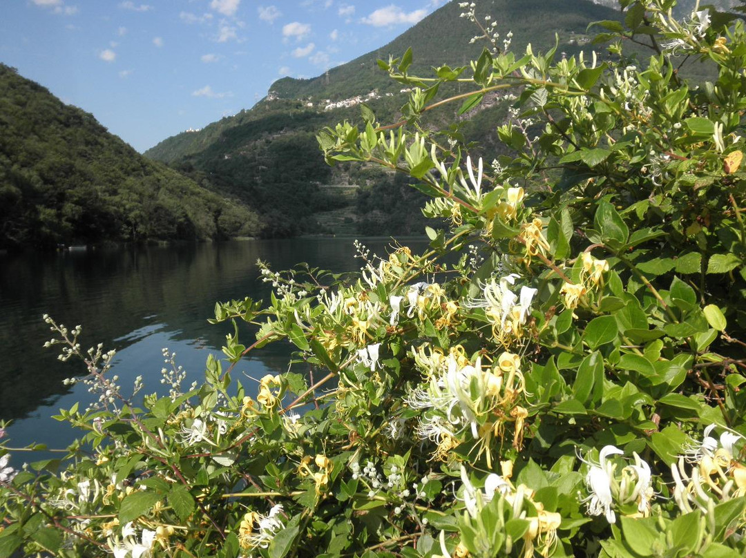 Parco del Lago Moro景点图片