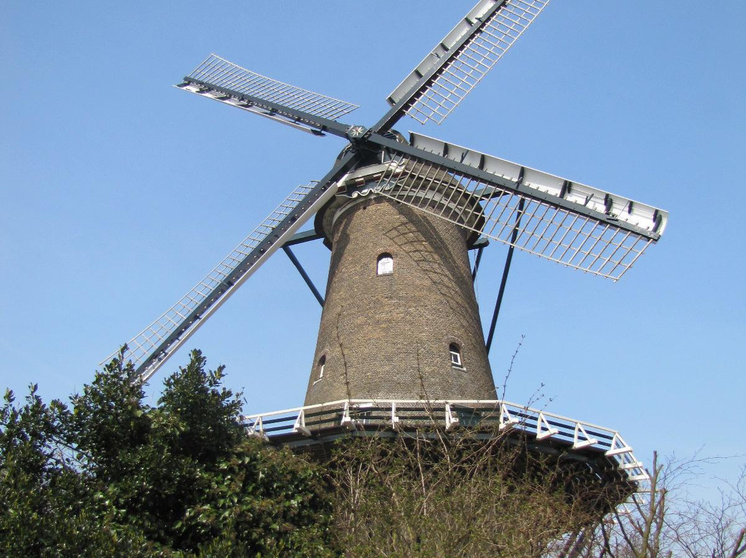 Molen van Groot (Piet)景点图片