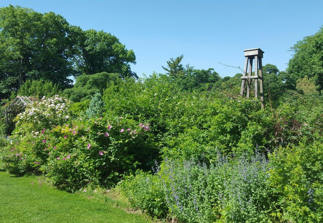 Luthy Botanical Garden-皮奥里亚必去景点