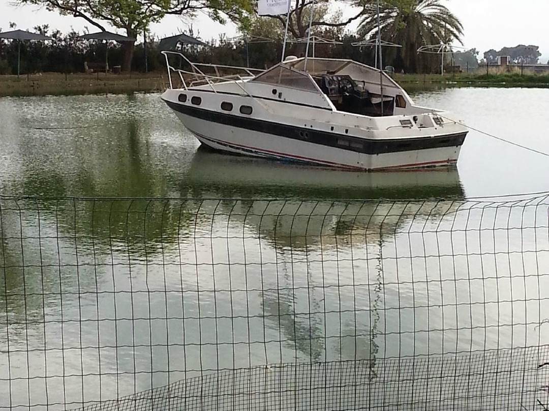 Hamei Yoav-Sde Yo‘av必去景点