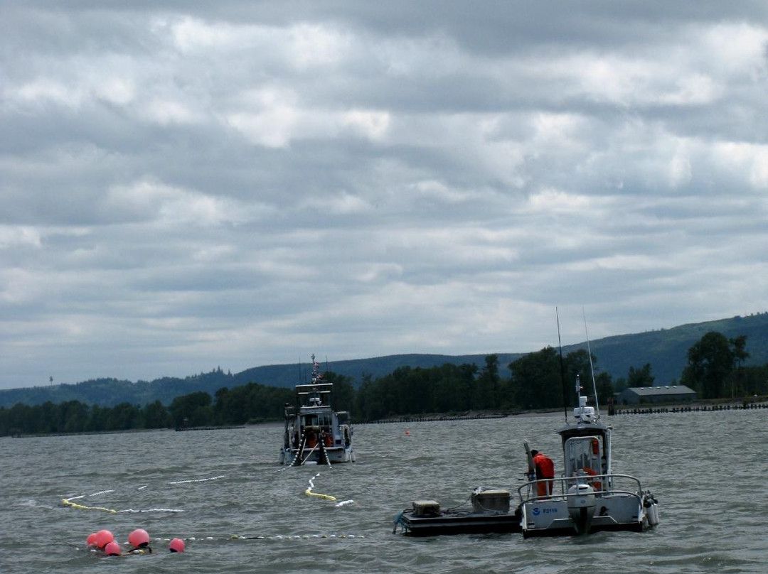 Puget Island-Cathlamet必去景点