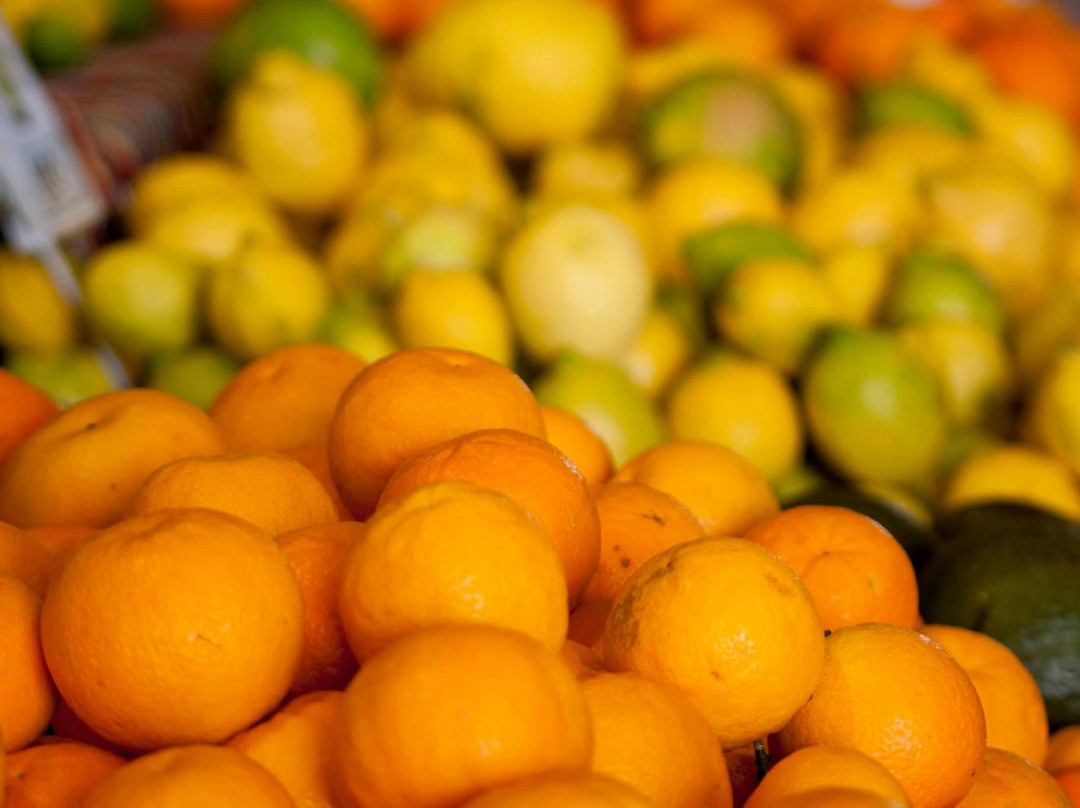 Mercado Parque La Reina-阿罗纳必去景点