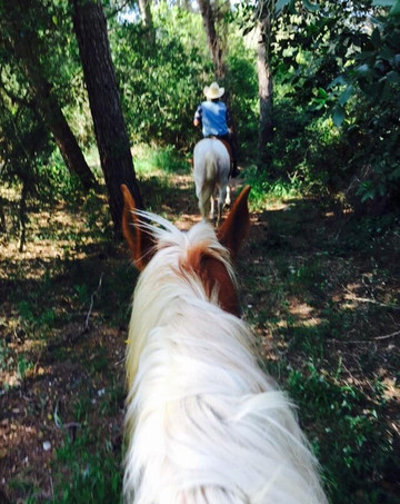 Il Maneggio di Lucio-奥特朗托必去景点