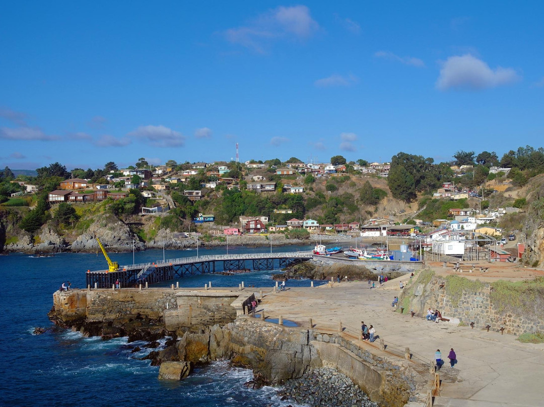 Quintay Vineyards-卡萨布兰卡必去景点