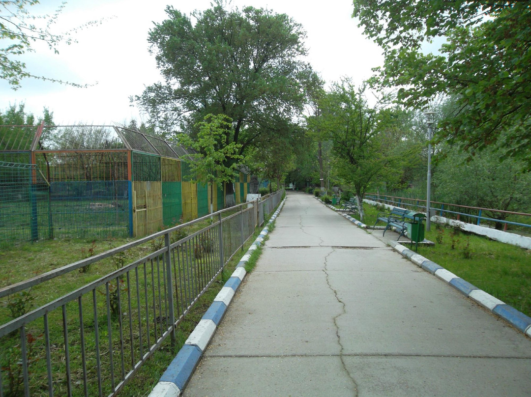 Zoo Parc Calarasi景点图片