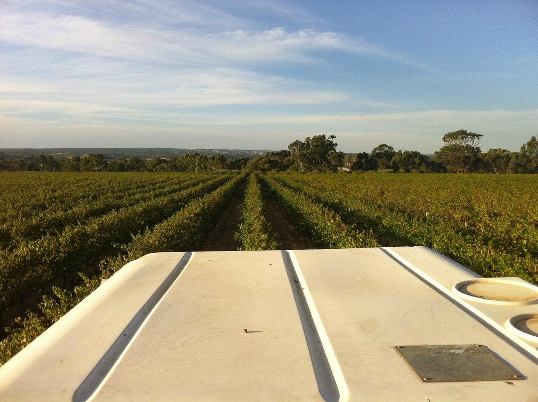 Kangarilla Road Winery景点图片