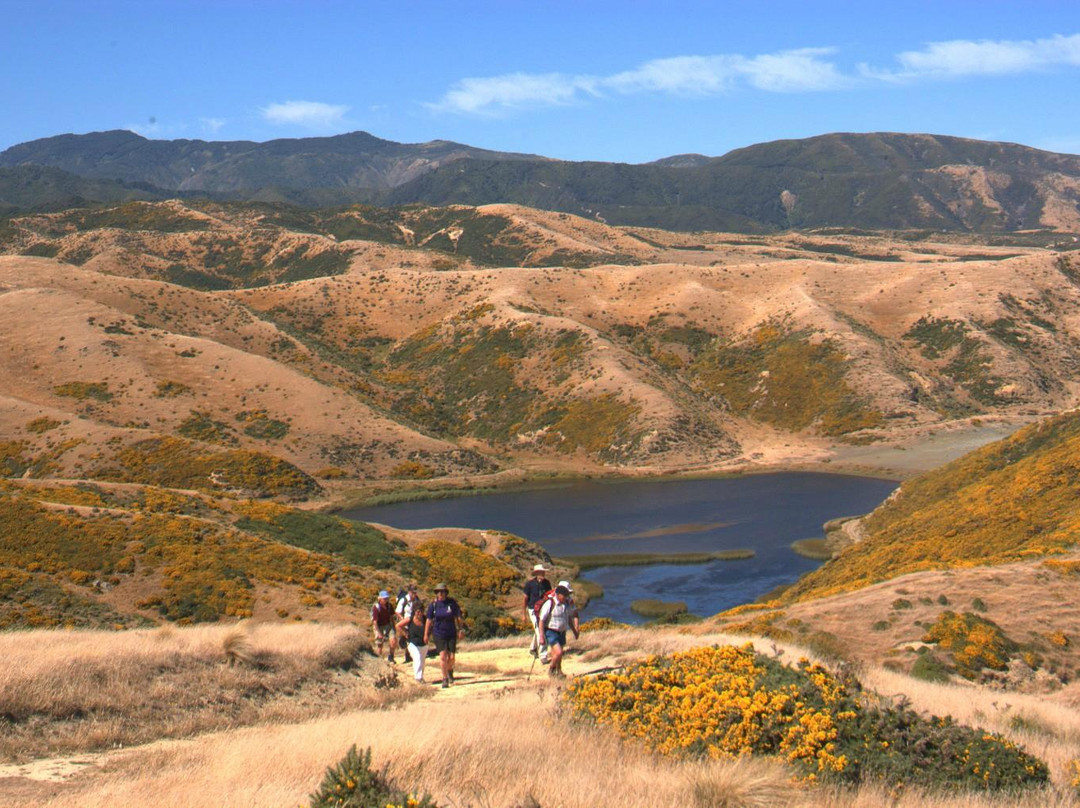 East Harbour Regional Park景点图片