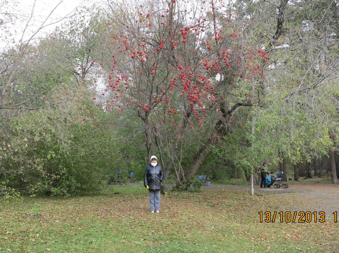 Park Green Grove景点图片