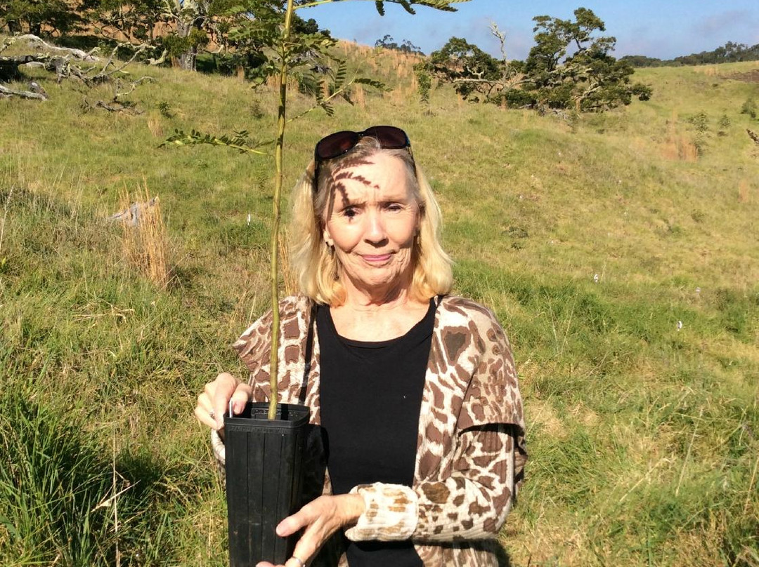 Hawaiian Legacy Tours-希洛必去景点