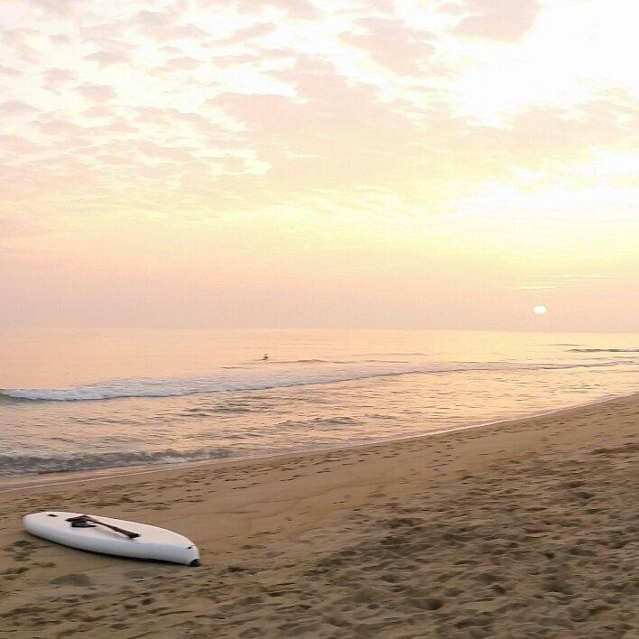 Sup Monkey Hoi An-会安必去景点