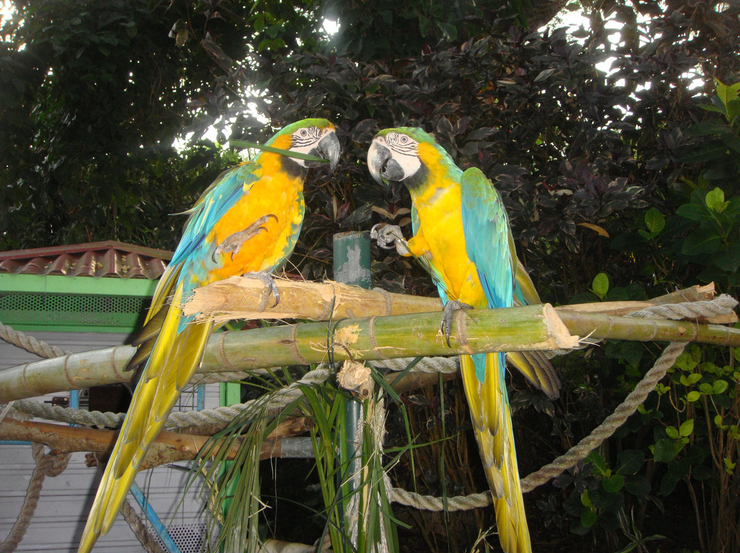 La Source de Sofaïa-Sainte Rose必去景点