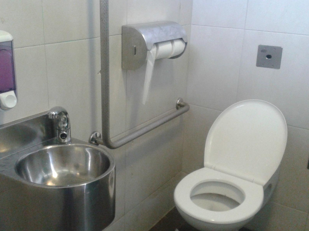 Central Park-惠灵顿必去景点