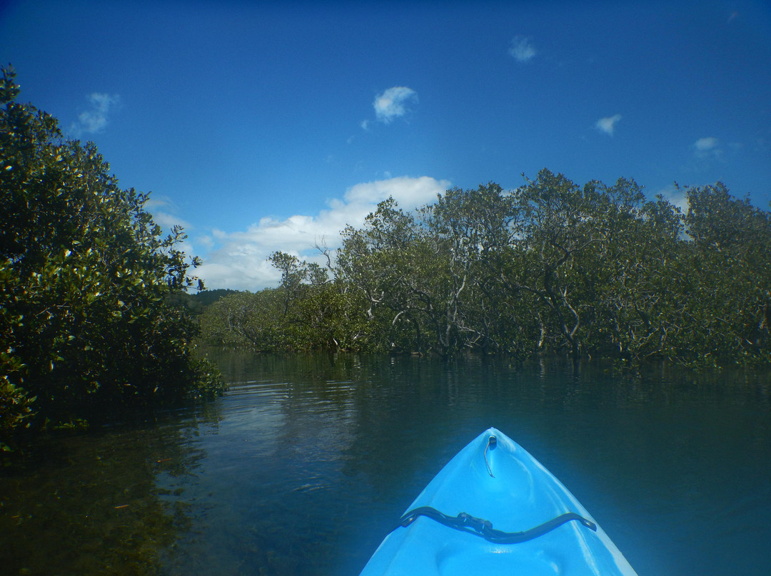 Matapouri Bay景点图片