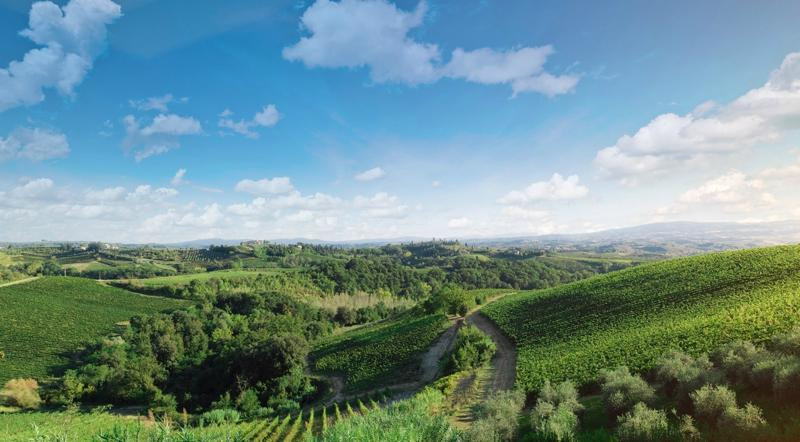 Tuscany Cook-切塔尔多必去景点