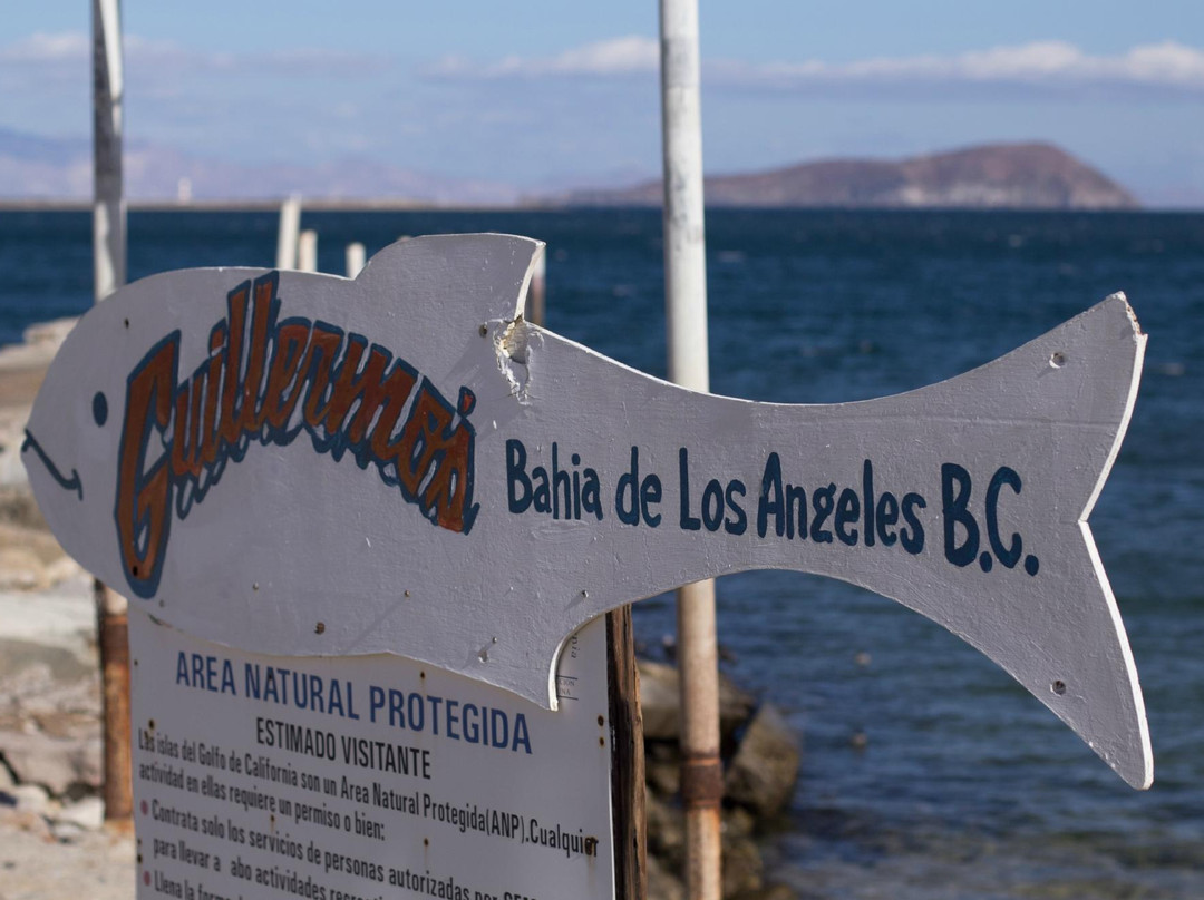 Guillermo's Hotel主图