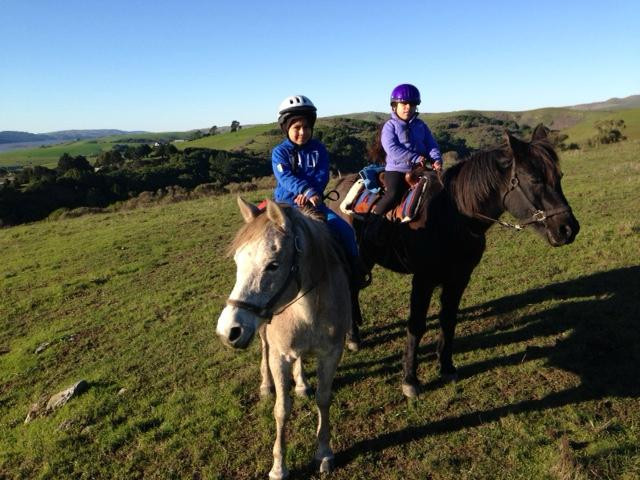 Point Reyes Arabian Adventures-Point Reyes Station必去景点