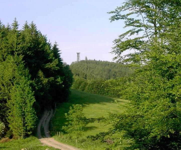 Damberg
